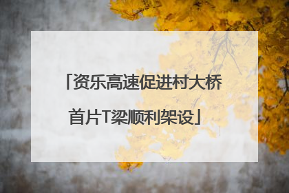 资乐高速促进村大桥首片T梁顺利架设