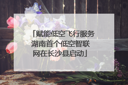 赋能低空飞行服务 湖南首个低空智联网在长沙县启动
