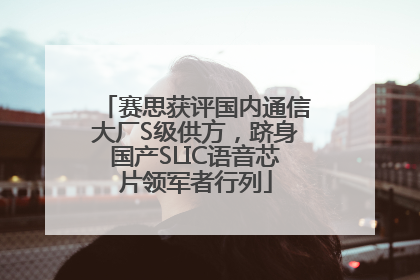 赛思获评国内通信大厂S级供方，跻身国产SLIC语音芯片领军者行列