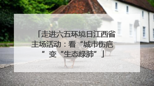 走进六五环境日江西省主场活动：看“城市伤疤”变“生态绿肺”