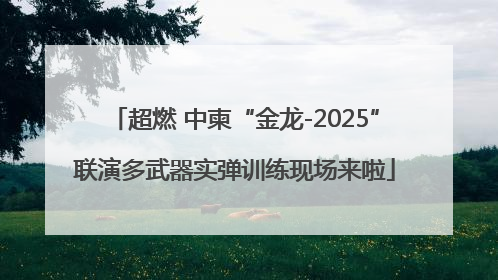 超燃 中柬“金龙-2025”联演多武器实弹训练现场来啦