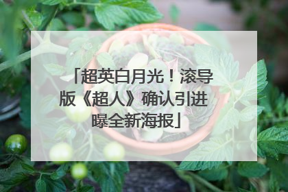 超英白月光！滚导版《超人》确认引进 曝全新海报