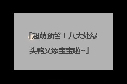 超萌预警！八大处绿头鸭又添宝宝啦~