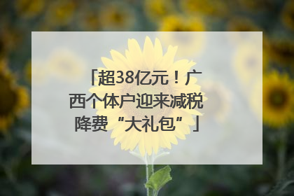 超38亿元！广西个体户迎来减税降费“大礼包”