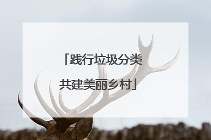 践行垃圾分类 共建美丽乡村