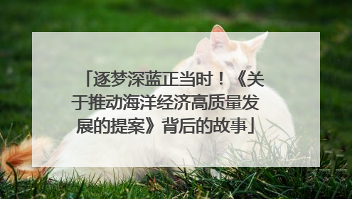 逐梦深蓝正当时！《关于推动海洋经济高质量发展的提案》背后的故事
