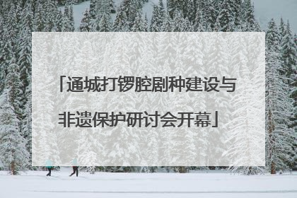 通城打锣腔剧种建设与非遗保护研讨会开幕