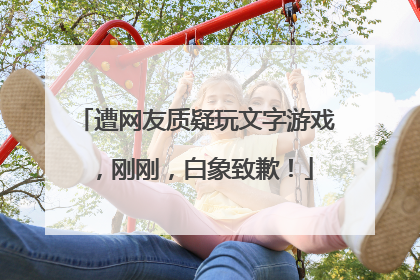 遭网友质疑玩文字游戏，刚刚，白象致歉！