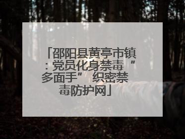 邵阳县黄亭市镇：党员化身禁毒“多面手” 织密禁毒防护网