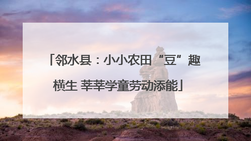 邻水县：小小农田“豆”趣横生 莘莘学童劳动添能