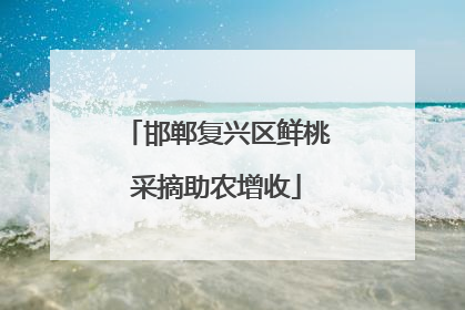 邯郸复兴区鲜桃采摘助农增收