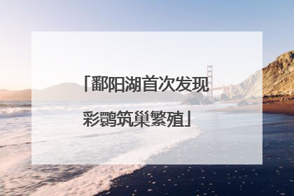 鄱阳湖首次发现彩鹮筑巢繁殖