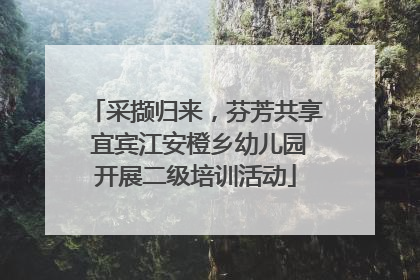 采撷归来，芬芳共享 宜宾江安橙乡幼儿园开展二级培训活动