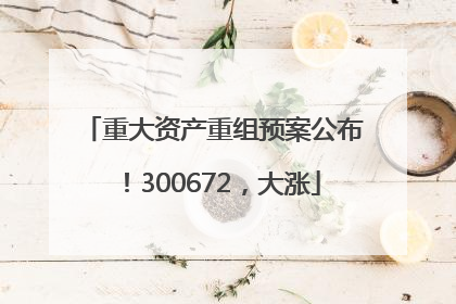 重大资产重组预案公布！300672，大涨