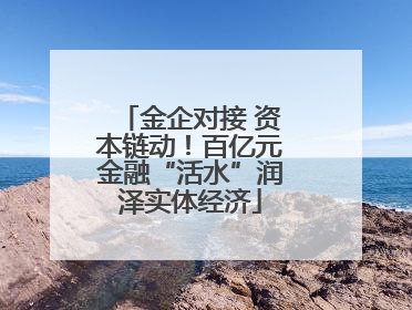 金企对接 资本链动！百亿元金融“活水”润泽实体经济