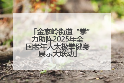 金家岭街道“拳”力助阵2025年全国老年人太极拳健身展示大联动