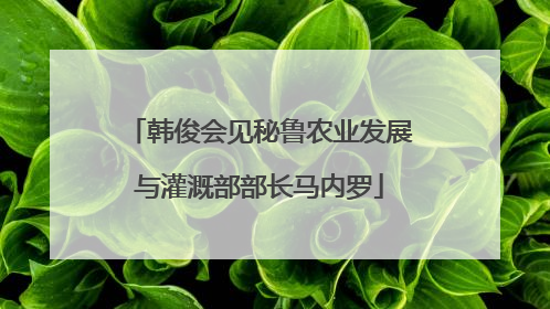 韩俊会见秘鲁农业发展与灌溉部部长马内罗
