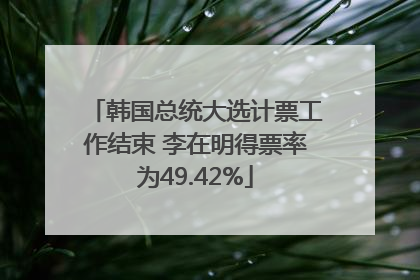 韩国总统大选计票工作结束 李在明得票率为49.42%