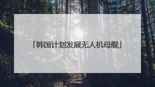 韩国计划发展无人机母舰