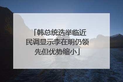 韩总统选举临近 民调显示李在明仍领先但优势缩小