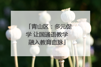 青山区：多元促学 让国通语教学融入教育血脉