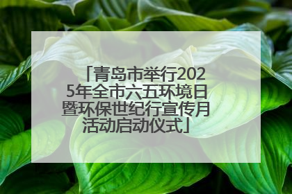 青岛市举行2025年全市六五环境日暨环保世纪行宣传月活动启动仪式
