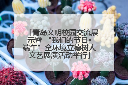 青岛文明校园交流展示暨 “我们的节日•端午”全环境立德树人文艺展演活动举行