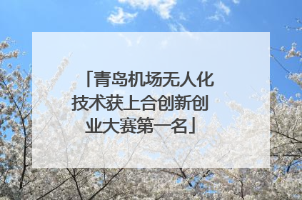 青岛机场无人化技术获上合创新创业大赛第一名