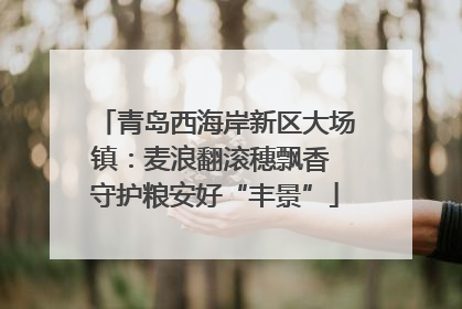 青岛西海岸新区大场镇：麦浪翻滚穗飘香 守护粮安好“丰景”