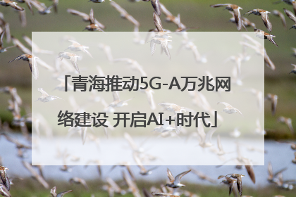 青海推动5G-A万兆网络建设 开启AI+时代