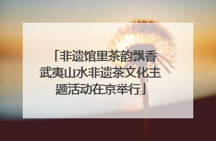 非遗馆里茶韵飘香 武夷山水非遗茶文化主题活动在京举行