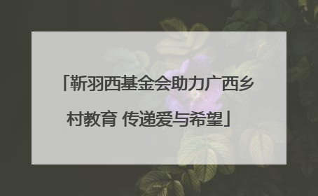 靳羽西基金会助力广西乡村教育 传递爱与希望