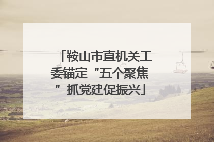 鞍山市直机关工委锚定“五个聚焦”抓党建促振兴
