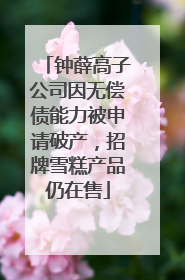 钟薛高子公司因无偿债能力被申请破产，招牌雪糕产品仍在售
