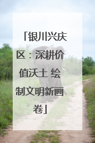 银川兴庆区：深耕价值沃土 绘制文明新画卷