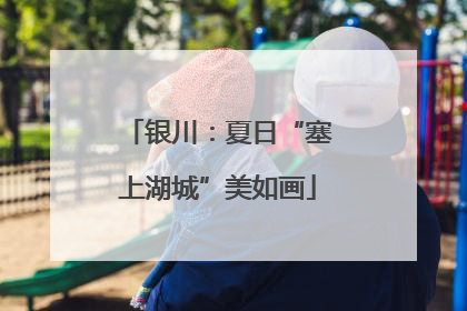 银川：夏日“塞上湖城”美如画