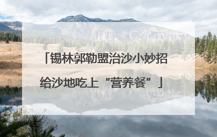 锡林郭勒盟治沙小妙招 给沙地吃上“营养餐”