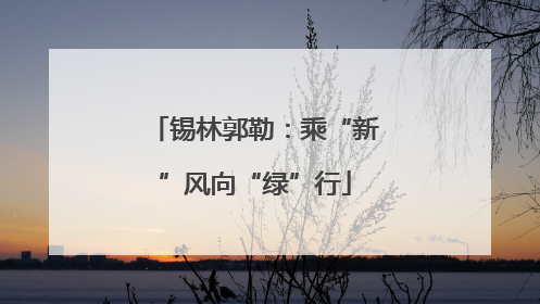 锡林郭勒：乘“新”风向“绿”行