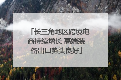 长三角地区跨境电商持续增长 高端装备出口势头良好