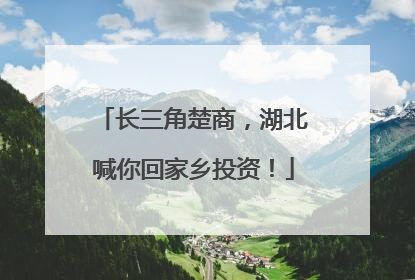 长三角楚商，湖北喊你回家乡投资！