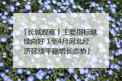 长城观察丨主要指标继续向好 1至4月河北经济延续平稳增长态势
