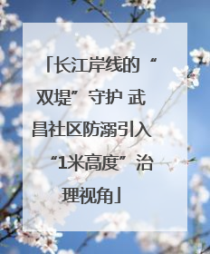 长江岸线的“双堤”守护 武昌社区防溺引入“1米高度”治理视角