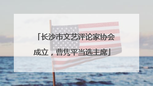 长沙市文艺评论家协会成立，曹隽平当选主席