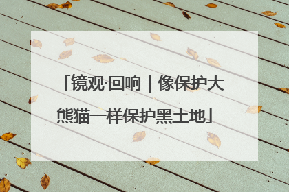 镜观·回响｜像保护大熊猫一样保护黑土地