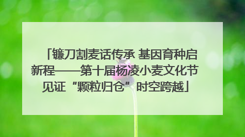 镰刀割麦话传承 基因育种启新程——第十届杨凌小麦文化节见证“颗粒归仓”时空跨越