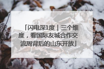 闪电深1度｜三个维度，看国际友城合作交流周背后的山东开放