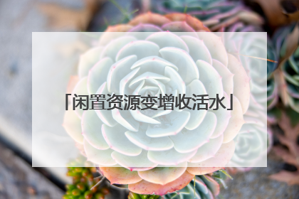 闲置资源变增收活水