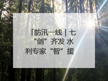 防汛一线｜七“剑”齐发 水利专家“智”援湘西北抗洪流