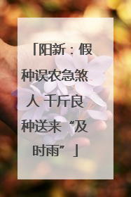 阳新：假种误农急煞人 千斤良种送来“及时雨”