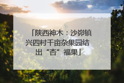 陕西神木：沙峁镇兴四村千亩杂果园结出“杏”福果